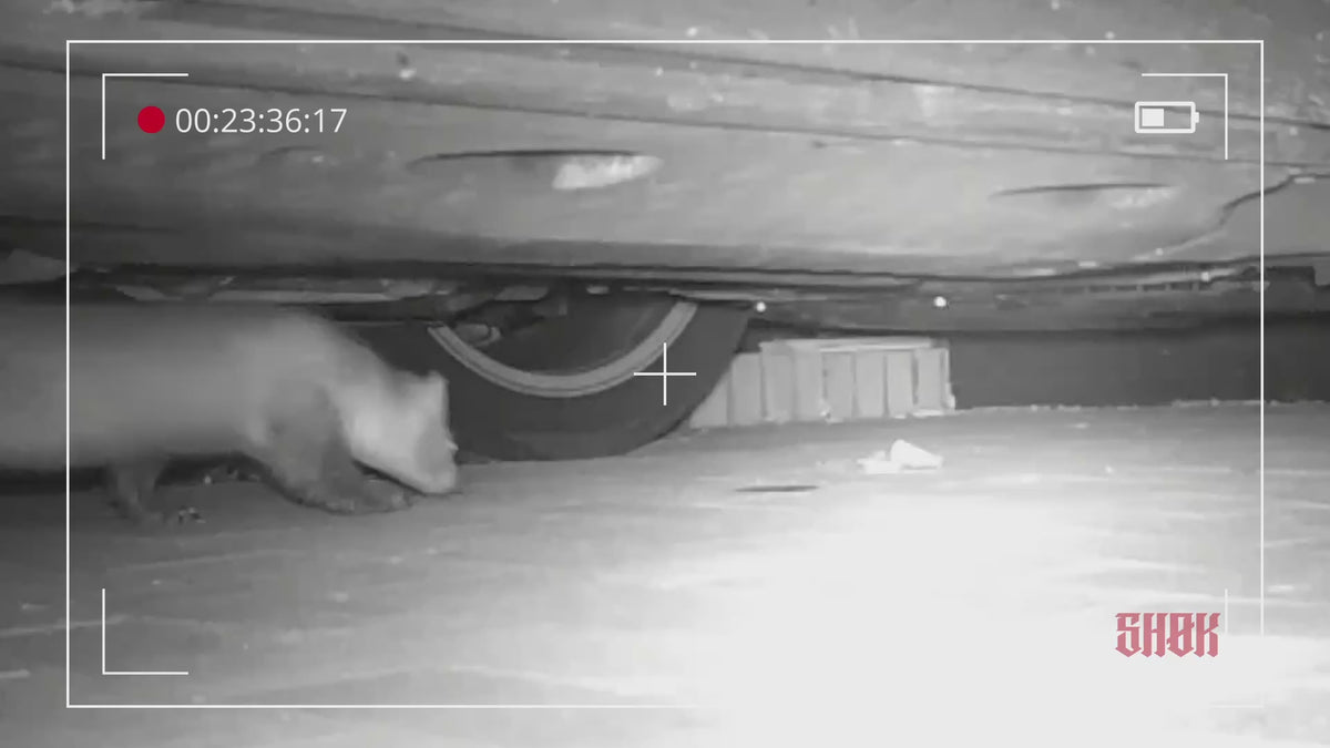 Kuna vyplašená ultrazvukem SHØK v motorovém prostoru